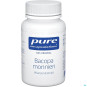 morepic-1