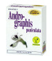 morepic-2