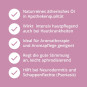 morepic-4